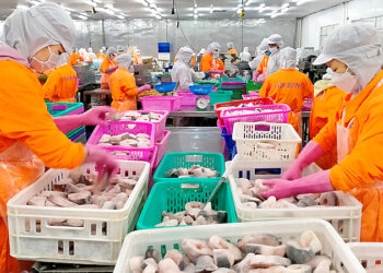 Xuất khẩu thủy sản Việt Nam lần đầu đạt mốc 10 tỷ USD