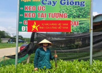 Nguồn vốn nhỏ giúp phụ nữ đẩy mạnh sản xuất hàng hoá