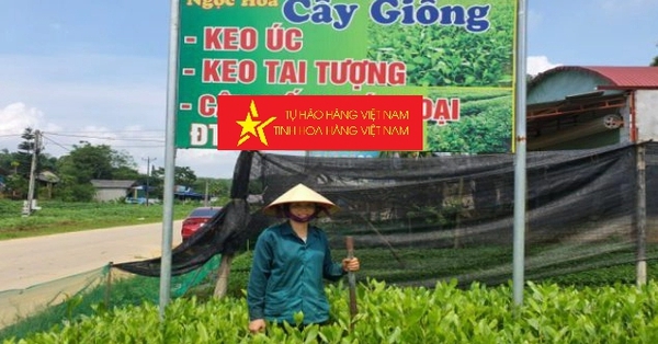 Nguồn vốn nhỏ giúp phụ nữ đẩy mạnh sản xuất hàng hoá
