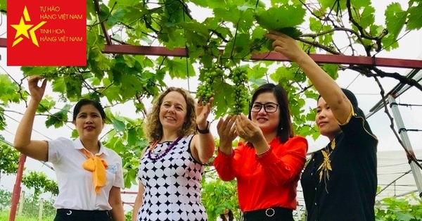 Nguồn vốn vay nhỏ hỗ trợ phụ nữ phát triển mô hình nho đen chất lượng cao