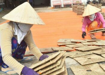 kinh te 16678794498431276846529 8 0 846 1600 crop 16678794955741095635276